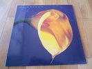 Swans - the burning world, vinyl, 1989