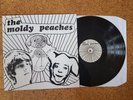 The Moldy Peaches- The Moldy Peaches - LP 2001 - Rough Trade