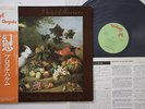 LP Procol Harum Exotic Birds And Fruit CHR1058 CHRYSALIS Japan Vinyl OBI