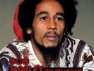 Bob Marley and The Wailers : Ultimate Wailers Box Vinyl 12