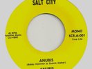 HOLY GRAIL Northern Soul Funk 45 Anubis, Ecology ORIGINAL MINT- Pressing
