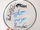 THE JAM signed Drum Skin 8.5