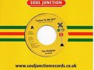 THE DELIGHTS Listen To Me Girl / TEARRA Just Loving You NEW NORTHERN 60s SOUL 45