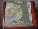 ORIG John Lennon Plastic Ono Band lp s/t APPLE A1 B1
