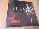 The Wylde Mammoths –Things That Matter (Lp,Crypt,1988; Garage; Fuzztones;Nomads)