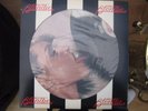 blondie parallel lines picture disc lp.