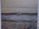 COPELAND Ixora Vinyl LP Factory Sealed