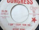 ORIGINAL NORTHERN SOUL PROMO 45/RITCHIE ADAMS 