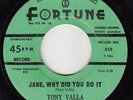 TONY VALLA & ALAMOS - Fortune 858 (green)- Jane, Why Did You Do It- DOO-WOP VG++