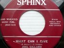 JOEL GILLARD VG++ SPHINX POPCORN 45 WHAT CAN I GIVE / MAKIN LOVE TO YOU ws1024