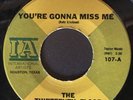 Texas Garage 45 Thirteenth Floor Elevators “You’re Gonna Miss Me”  M-
