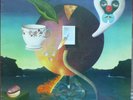 Nick Drake ?Pink Moon LP 1978 original rare Australian re Island folk rock NM-