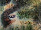 Pink Floyd - A Saucerful Of Secrets LP - Columbia Germany