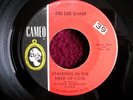 Dee Dee Sharp..I Really Love You/Standing In The Need of Love..Cameo VG++ to M-