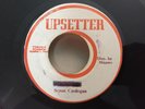 SUZAN CARDOGAN/FEVER UPSETTER REGGAE 45