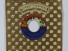 70s Soul 45 GLORIA SCOTT What Am I Gonna Do/What Shall I Do on Casablanca VG++
