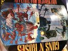 Guns N Roses Appetite For Distraction Picture Disc VINYL RECORDS