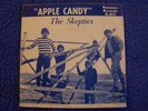 RARE OKLAHOMA GARAGE 45 & PICTURE SLEEVE THE SKEPTICS APPLE CANDY KAMPUS RECS