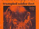 LED ZEPPELIN HOLLAND 7
