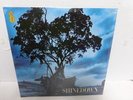 Leave a Whisper Import Shinedown  Format: Vinyl LP