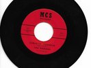 Garage Punk 45 THE BARONS Surprise Surprise/Long Gone Lost World MCS HEAR Rare