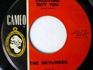 SKYLINERS 45 Everyone But You/3 Coins in the Fountain CAMEO doo wop VG++ d1963