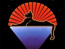 Jerry Garcia Band - Cats Under The Stars 180 Gram, Colored Double Vinyl, limited