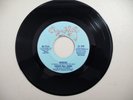 Sugar Hill Gang - Apache / Rapper's Delight (VG) 1982 #7470