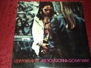 Lenny Kravitz - Are You Gonna Go My Way [Virgin] (1993 UK LP VG+ Vinyl)