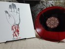 Converge You Fail Me Redux Vinyl LP Black in Transparent Red /518