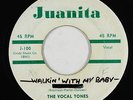 Doo-Wop R&B 45 - Vocal Tones - Walkin' With My Baby - Juanita - mp3
