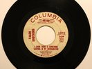 Talon Brothers: Something in My Refrigerator | Rare 1966 Garage Punk Fuzz *HEAR*