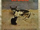 ANTONIO ADOLFO Viralata BRAZIL JAZZ FUNK GROOVE BREAKS ORIG LP VG++ HEAR