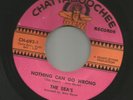 GIRLS IN GARAGE-  the BEA'S -  INTERNATIONAL GIRL   -HEAR -  1965 CHATTAHOOCHEE