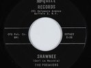 Rock & Roll Inst. 45 - Premiers - Shawnee/Orbit Bound - Squire - VG+ mp3 - rare