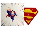 Shirley Walker - Superman: Animated Series (Red/Yellow S-Shape) Vinyl LP NEU