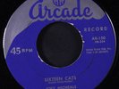 JOEY MICHAELS: Sixteen Cats / Too Blue To Cry 45 Rockabilly