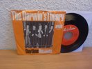 Single Beat THE DARWIN'S THEORY-Daytime 7