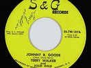 Rock & Roll 45 - Terry Walker & Solid Gold - Johnny B. Goode - S & G - mp3
