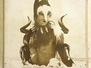 NEY MATOGROSSO Agua Do Ceu - Passaro BRAZIL ORIG PYSCH FOLK LP HEAR