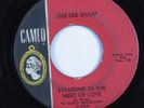 Northern Soul 45 DEE DEE SHARP Standing In Need Of Love CAMEO HEAR