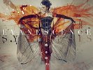 Evanescence Synthesis LP (12