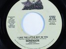 Modern Soul 45 SERENADE I Like This Little Boy In You PHOENIX HEAR
