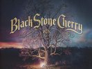 BLACK STONE CHERRY - FAMILY TREE - NEW SIGNED VINYL LP
