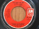 CHRIS DE BURG - The Lady In Red / The Vision - RARE PANAMA 45
