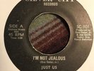 Rare Northern Just Us Silver City SC-101 