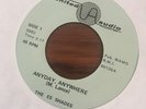 THE ES SHADES Anyday, Anywhere / Without My Love 45 Single 7