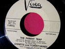 ANNETTE and TOMMY SANDS - The Parent Trap - clean Promo 45 rpm - Buena Vista 802