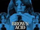 Various Artist - Brown Acid - The Sixth Trip 603111729619 (Vinyl Used Like New)