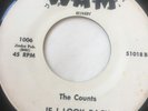 RARE OHIO GARAGE 45/ COUNTS 